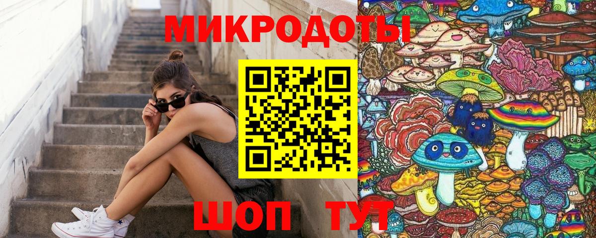 Галлюциногенные грибы Psilocybine cubensis Ессентуки