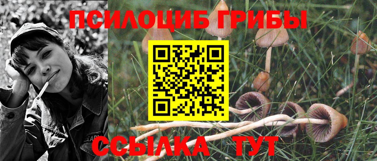 Ессентуки  Псилоцибиновые грибы Psilocybe  Вход с VPN  Галлюциногенные грибы ЛСД 